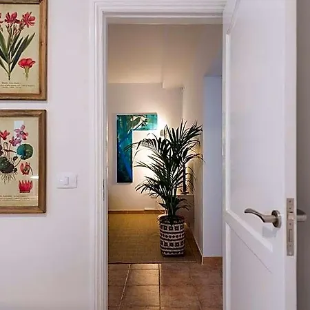 'kentia' Apt. Welcoming And Charming. Apartment GRAN CANARIA